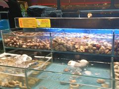 -苏格里岛自助海鲜烤肉火锅(集美万达店)