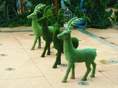 -国家植物园南园