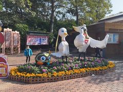 -大湾区中央湿地公园