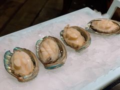 鲜活鲍鱼仔-景笙毋米粥底火锅(20年老字号)