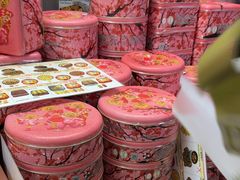 -珍妮曲奇聪明小熊(尖沙咀店)