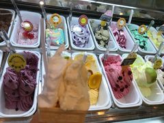 -柠檬车露(卖草地店)