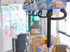 -帕帕拉兹宠物(亚洲旗舰店)