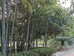 -故乡缘·香格里拉山庄(冷竹路店)