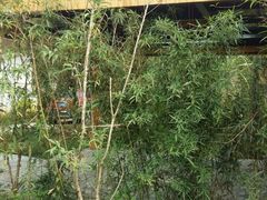 -生态苑农庄(十里画廊遇龙河店)