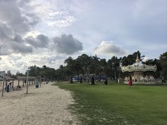 -采悦轩中餐厅·粤菜·海南菜(神州半岛喜来登度假酒店)