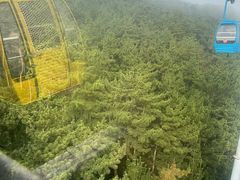 -摩天岭风景区