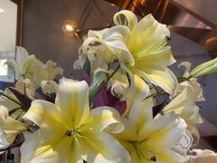 -THE WOODS 简餐 (国贸商城店)