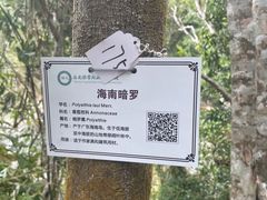 -海南热带雨林国家公园吊罗山景区