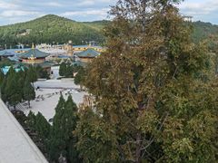 -龙口南山旅游景区