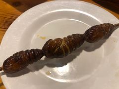 蚕蛹-京朋串屋·烧烤(望京西路总店)