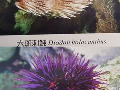 -浙江自然博物院(杭州馆)