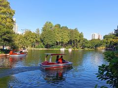-晓港公园