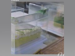 柑语柠香-麦雪尔甜品·生日蛋糕(新街口旗舰店)