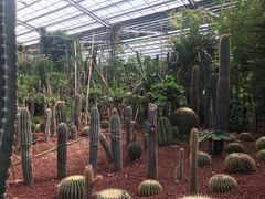 -呀路古热带植物园