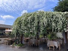 -悦哉·派对·草坪婚礼·围炉煮茶(三圣乡店)