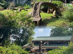 -广州动物园