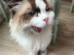 -小时光咖啡馆(北锣鼓巷店)