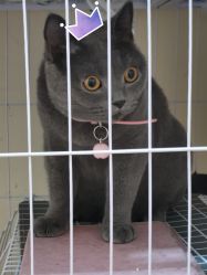 -Miss·A日式美甲美睫