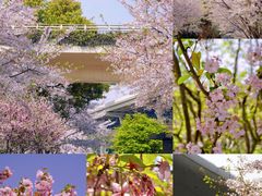 -静安雕塑公园