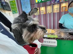 -瑞鹏·疫苗·绝育·宠物医院(金沙洲店)