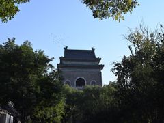 -天泽祥·鼓楼馒头(鼓楼店)
