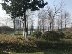 -尚贤河湿地