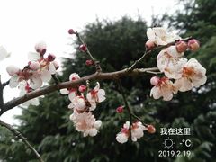 -白塘生态植物园