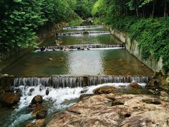 -广州白江湖森林公园