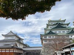 -名古屋城