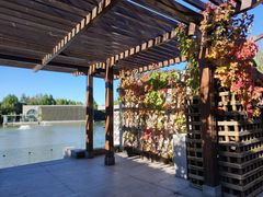 -春晖园度假酒店温泉