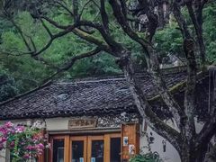 -村上春树