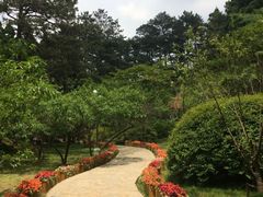 -庐山风景区花径公园