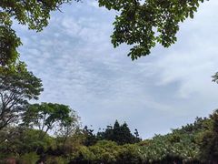 -深圳湾公园(南山区)
