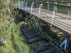 -西湖风景区-江洋畈生态公园