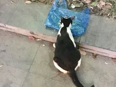 -1点点(中山门大街店)