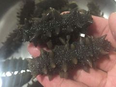 -宫品海参专卖店(静安大宁店)