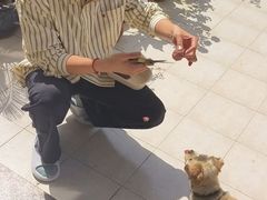 -Kathleen's Waitan 凯圣琳江景西餐厅(外滩店)