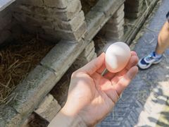 -兴芮温泉度假区