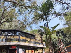 -南国桃园旅游度假区