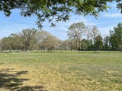 -汉长安城未央宫国家考古遗址公园