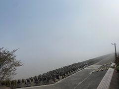 -上海滨江森林公园