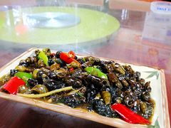 紫苏炒山坑螺-海泉湾竹筒饭·瘦身水库大头鱼(从化温泉镇店)