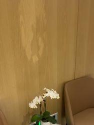 -广东韩妃整形外科医院