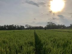 -水明漾大酒店 - 巴厘岛精品生活方式度假村