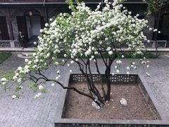 -何园