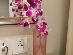 -阿瓦尼河滨曼谷酒店