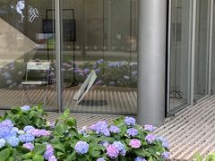 -临平公园(临平街道)