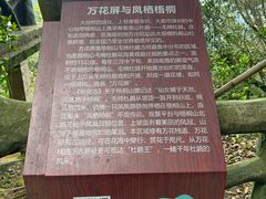 -梧桐山风景名胜区