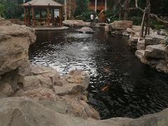 -龙达温泉生态城